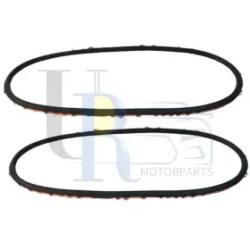 Wheszfz20250625-1769 Uro 2pcs Headlight Lens Gasket Fits Bmw 323ci 2000