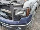 Driver Headlight Halogen Black Border Trim Fits 10-14 Ford F150 Pickup 1307663 Used. Price: $170.98.