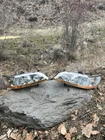 1998 1999 2000 2001 2002 Honda Accord Driver + Passenger Oem Headlight Lamp Used. Price: $95.36.