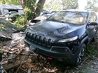 Passenger Headlight Halogen Projector Chrome Bezel Fits 14-16 Cherokee 1676757 Used. Price: $300.00.