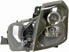 Dorman Headlight Assembly 1592134 New. Price: $206.99.