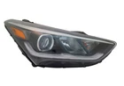 Tyc Right Halogen Headlight For Hyundai Santa Fe 2017-2019 Models New. Price: $325.40.