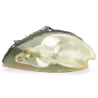 07-10 Jaguar Xkr X150 Xenon Afs Adaptive Headlight Lamp Rh 6W8313W029GF Oem Used. Price: $474.99.