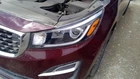 Driver Headlight Halogen Projector With Led Accent Fits 19-21 Sedona 5721690 Used. Price: $255.00.