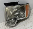 Ford F-150 F150 2009-2014 CL34-13006-B Driver Side Lamp Used. Price: $100.00.