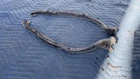 2001-2005 Lexus IS300 Front Headlight Lamp Bumper Bracket Beam Right/left Set Used. Price: $85.00.