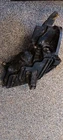 Traverse 2011 Headlight 139 Used. Price: $151.98.